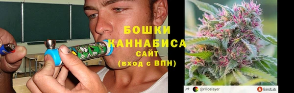 бошки Богородицк