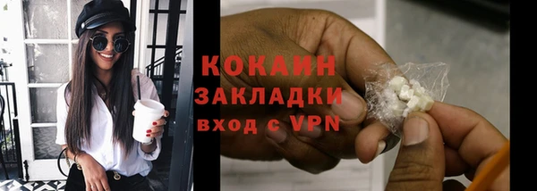 бошки Богородицк