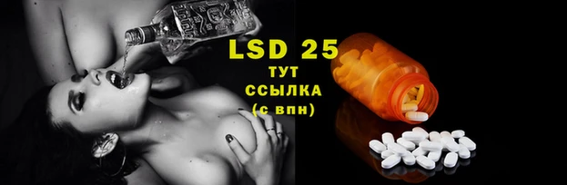 2c-b Богданович