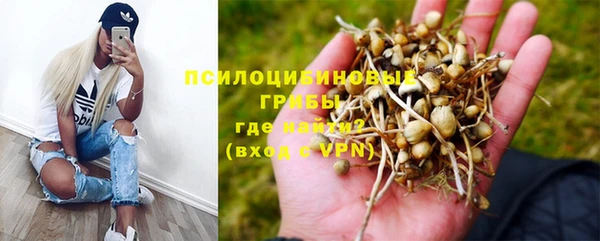 бошки Богородицк