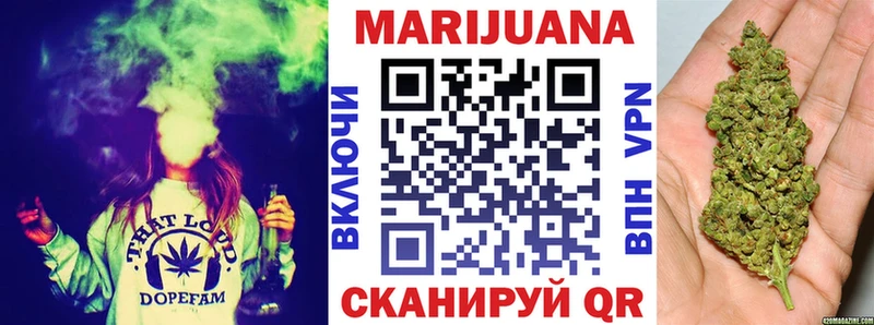 Шишки марихуана Amnesia  Купить закладки  Елизово 
